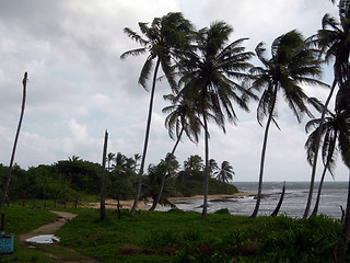 Image showing deserted beach