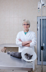 Image showing Female veterinary