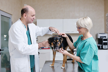 Image showing veterinarian and assistant in a small animal clinic