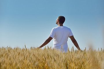 Image showing man in wheat field