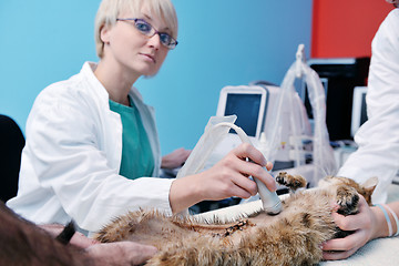 Image showing Female veterinary