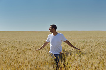 Image showing man in wheat field