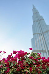 Image showing dubai burj khalifa skyscraper