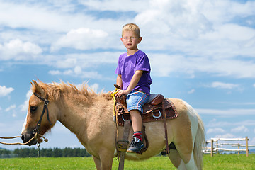 Image showing child ride pony