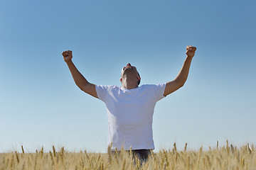 Image showing man in wheat field