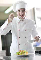 Image showing chef preparing meal