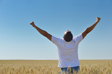 Image showing man in wheat field