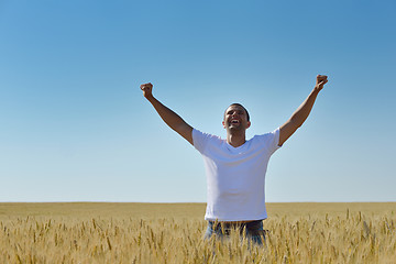 Image showing man in wheat field