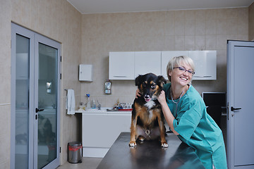 Image showing veterinarian and assistant in a small animal clinic