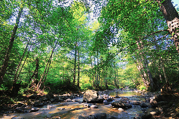 Image showing fresh water