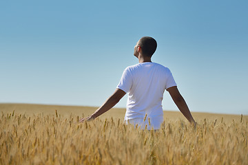 Image showing man in wheat field