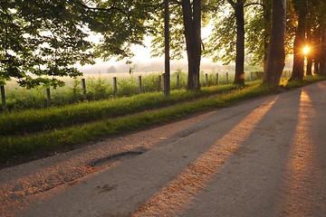 Image showing sunrise in beautiful alley