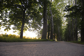 Image showing sunrise in beautiful alley