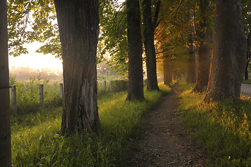 Image showing sunrise in beautiful alley