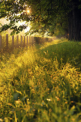 Image showing sunrise in beautiful alley