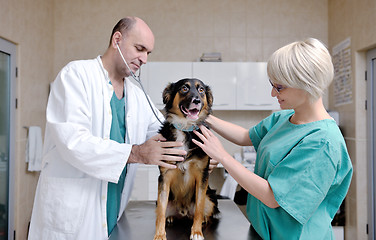 Image showing veterinarian and assistant in a small animal clinic