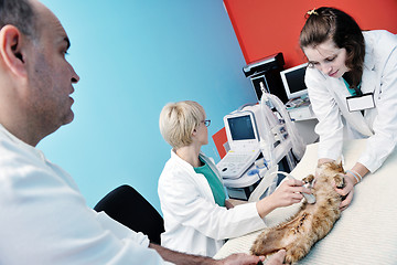 Image showing veterinarian and assistant in a small animal clinic