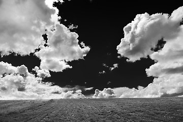 Image showing grass and sky nature backgrond