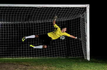 Image showing goalkeeper