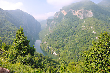 Image showing beautiful nature with river in canyon