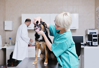 Image showing veterinarian and assistant in a small animal clinic