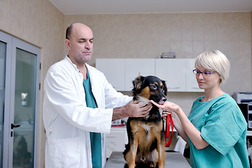 Image showing veterinarian and assistant in a small animal clinic