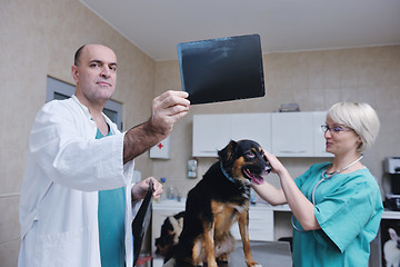 Image showing veterinarian and assistant in a small animal clinic