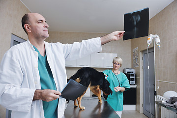 Image showing veterinarian and assistant in a small animal clinic