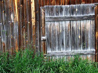 Image showing Old wooden door to a shed