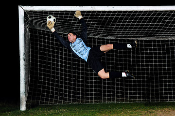 Image showing goalkeeper