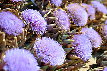 Image showing artichoke purple flower