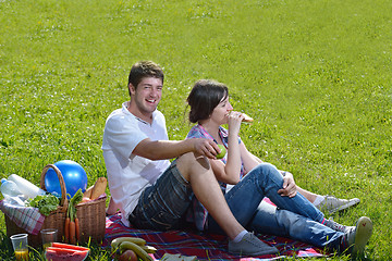 Image showing happy young couple having a picnic outdoor