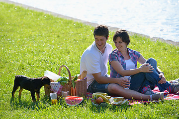 Image showing happy young couple having a picnic outdoor