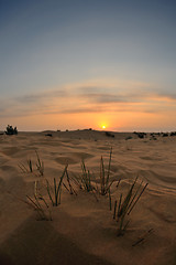 Image showing beautiful sunset in desert