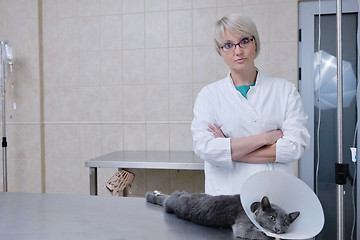 Image showing Female veterinary