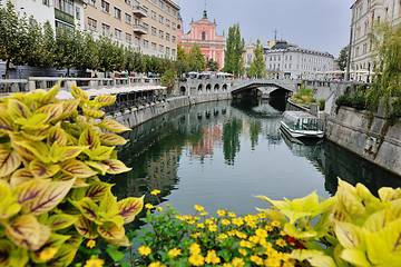 Image showing ljubljana capital of slovenia