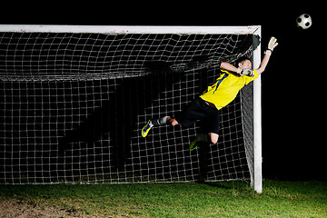 Image showing goalkeeper