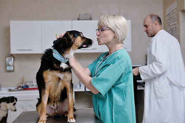Image showing veterinarian and assistant in a small animal clinic