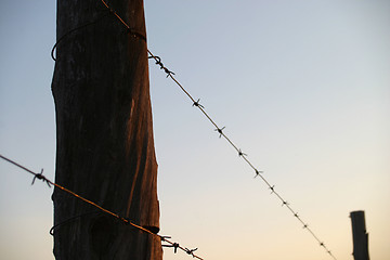 Image showing Barbed wire fence