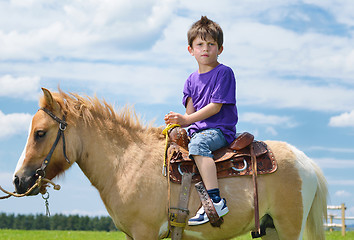 Image showing child ride pony