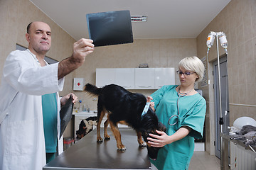 Image showing veterinarian and assistant in a small animal clinic