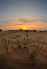 Image showing beautiful sunset in desert