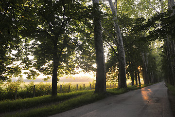 Image showing sunrise in beautiful alley