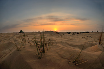 Image showing beautiful sunset in desert