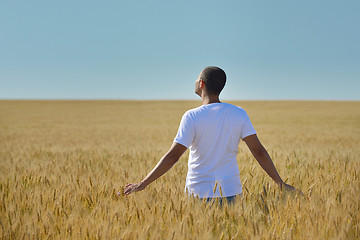 Image showing man in wheat field