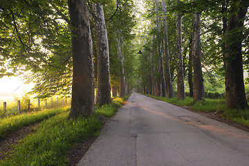 Image showing sunrise in beautiful alley