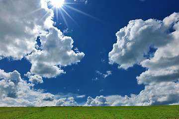 Image showing grass and sky nature backgrond