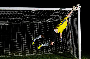 Image showing goalkeeper