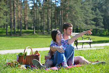 Image showing happy young couple having a picnic outdoor