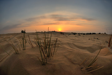 Image showing beautiful sunset in desert